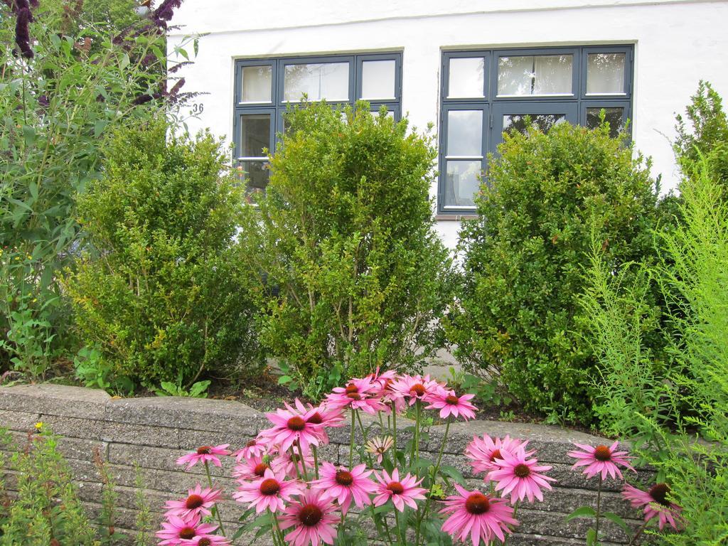 Provstegarden Bed & Breakfast Hovedgard Bagian luar foto